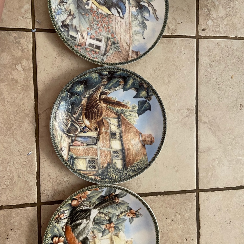 Three beautiful bird plates